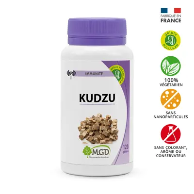Kudzu