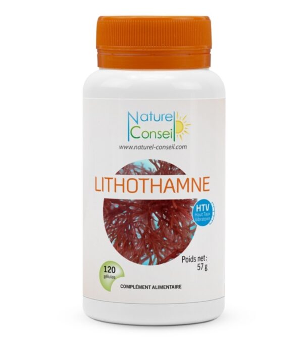 Lithothamne